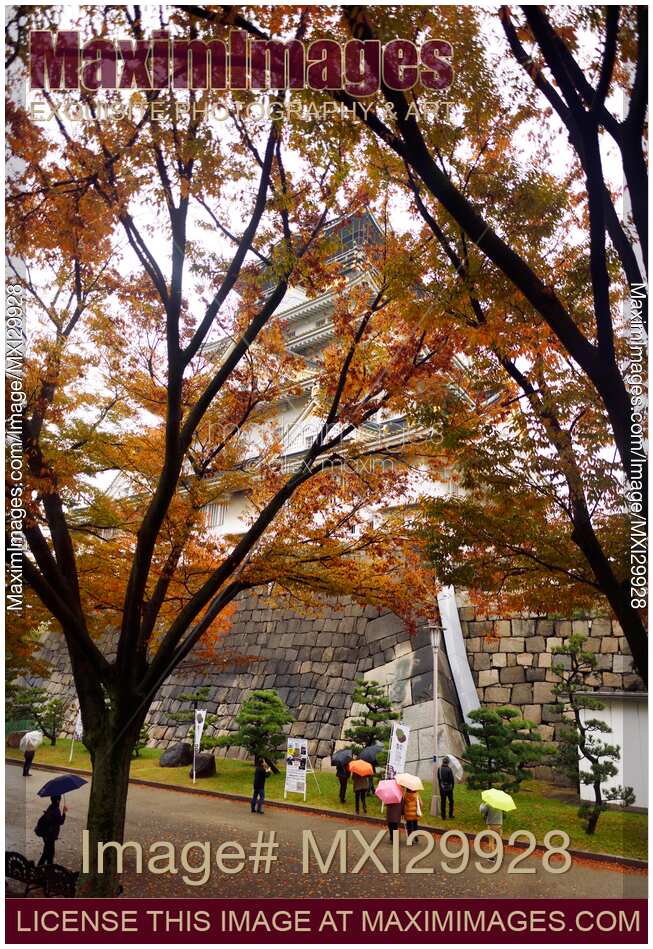 Tourists at Osaka Castle site behind red colorful trees on beautiful rainy autumn morning