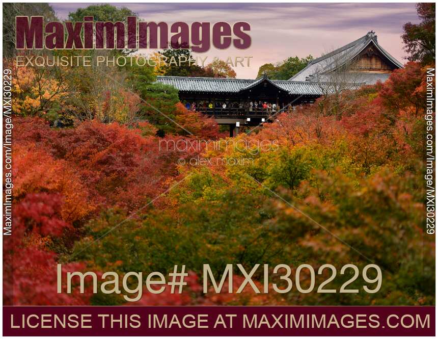 Tourists on Tsutenkyo bridge in autumn scenery at Tofukuji temple Kyoto