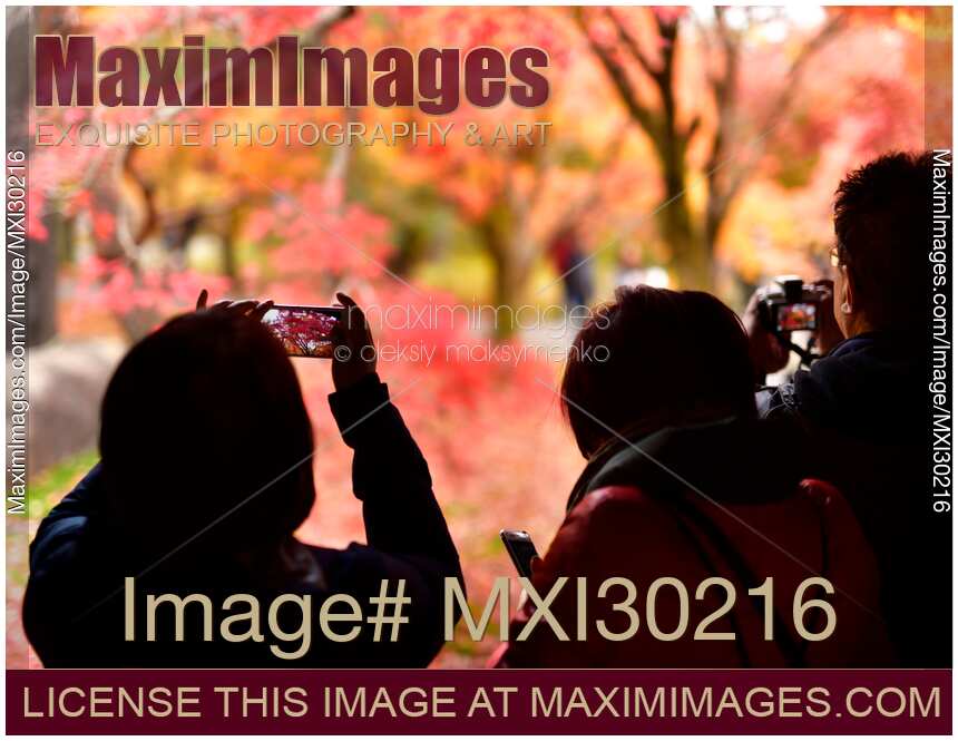 Tourists taking pictures of autumn Japanese gardens at Tofukuji temple in Kyoto