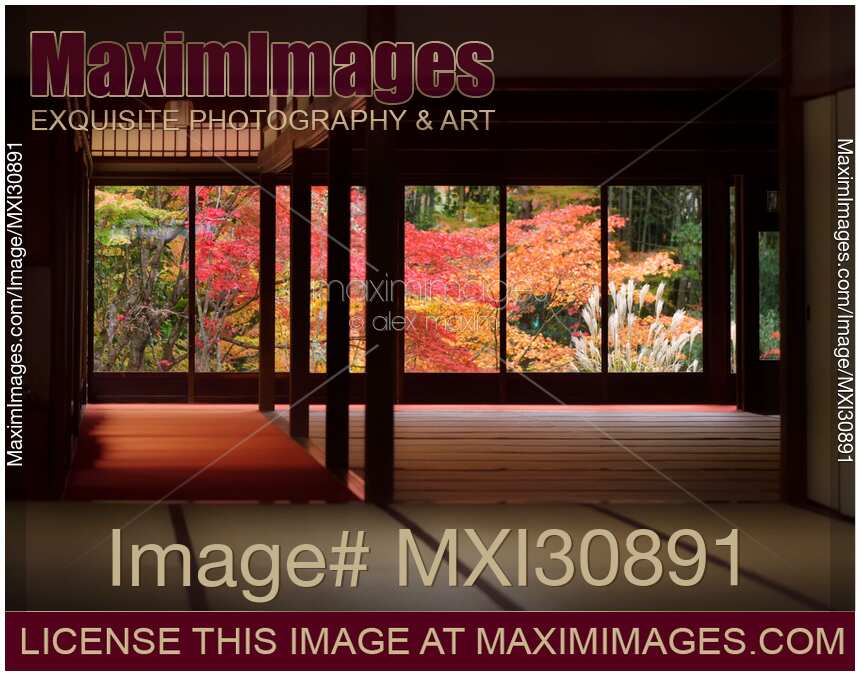 Traditional Japanese temple hall interior with beautiful autumn nature behind the windows of Tenjuan temple in Kyoto