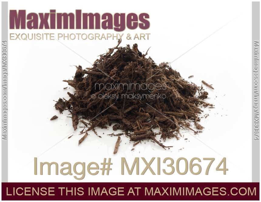 Tree bark mulch closeup