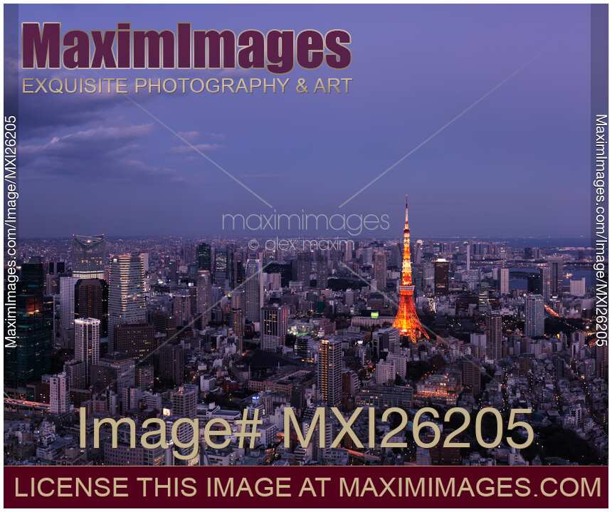 Twilight scenery of Tokyo tower and cityscape