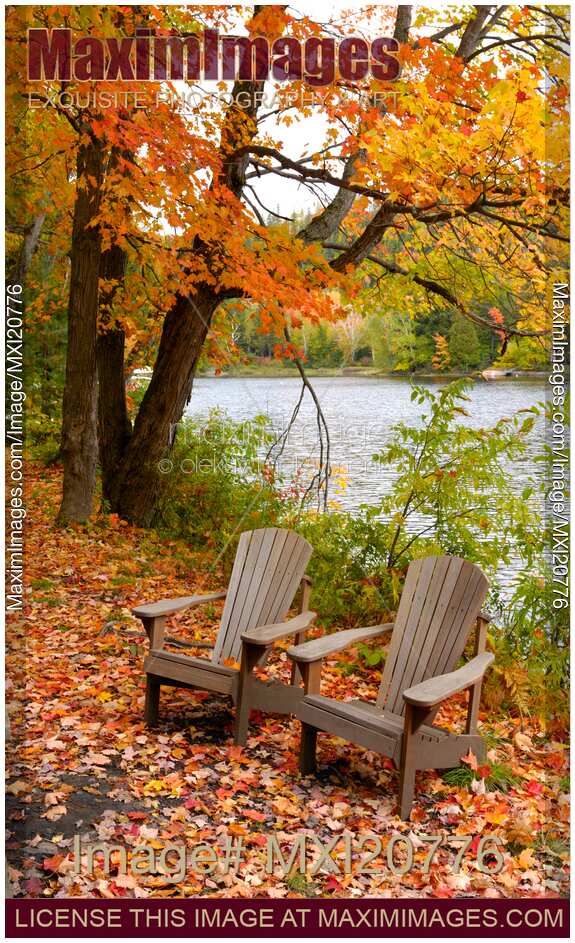 Two Armchairs in the Nature