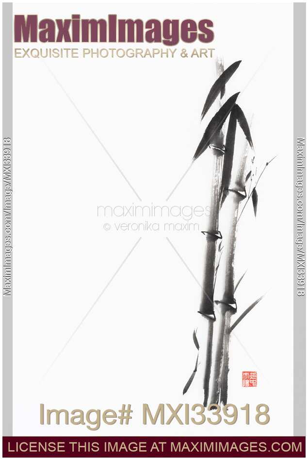 Two bamboo stalks and leaves. Minimalist Zen style abstract fine art painting on white.