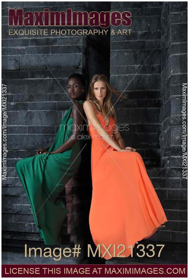 Two Beautiful Women in Elegant Dresses