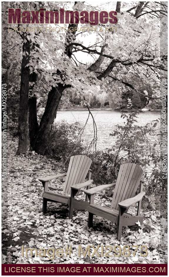 Two Muskoka adirondack chairs in autumn nature Black and white