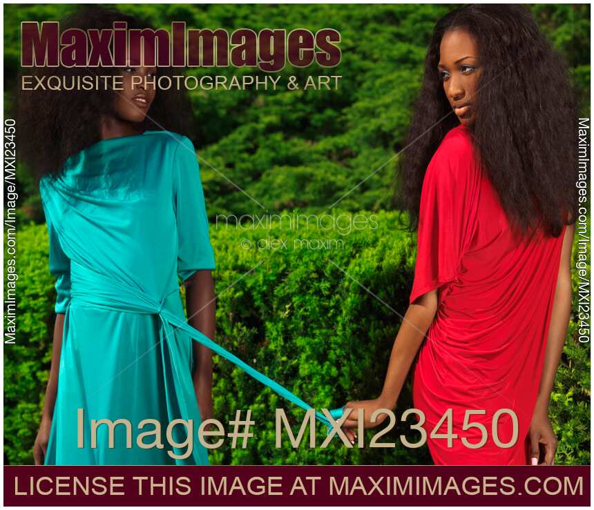 Two Women Wearing Bright Dresses in a Park