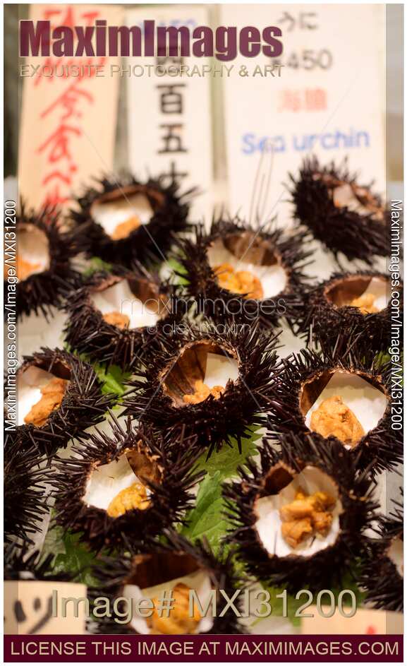 Uni sea urchin sashimi Japanese seafood delicacy at food market