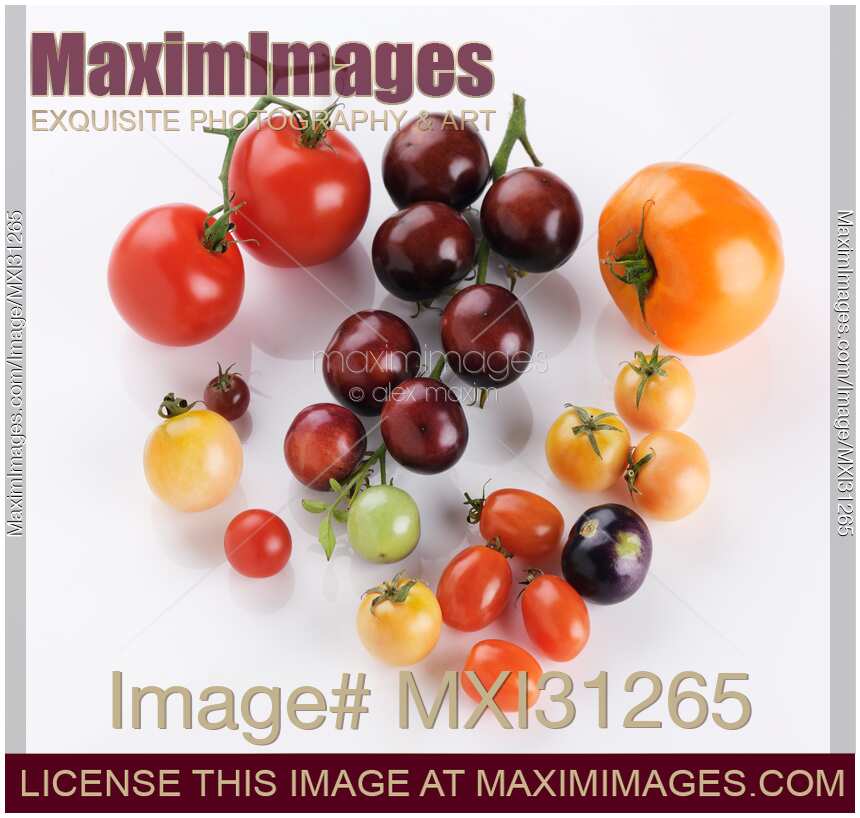 Variety of Organic heirloom tomatoes of different sizes and colors isolated on white