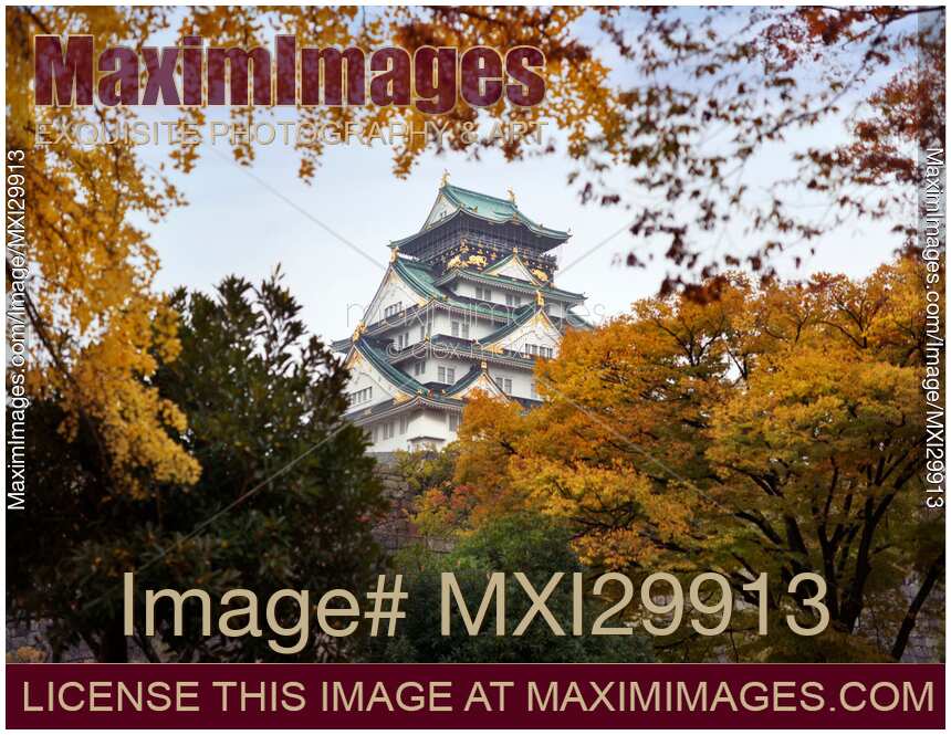 View of Osaka Castle through yellow autumn tree branches