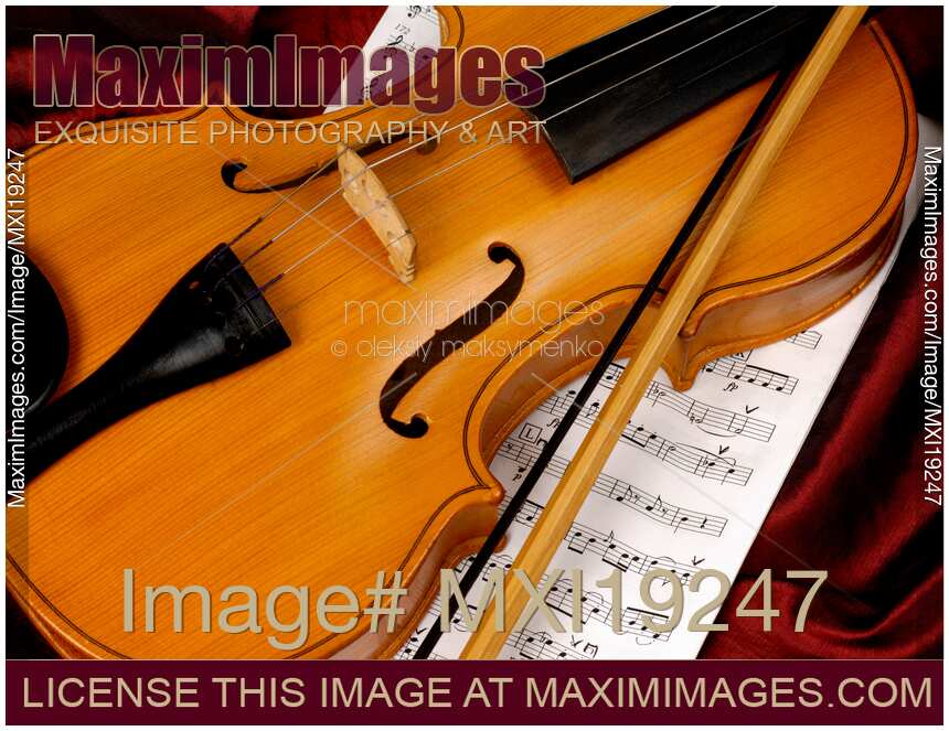 Violin Still Life