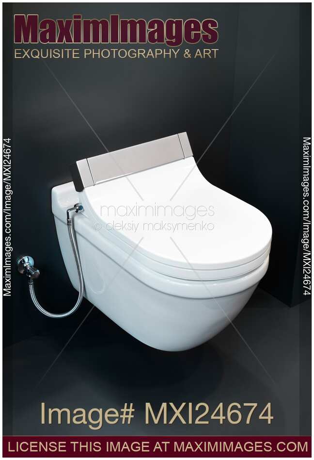 Wall mounted toilet