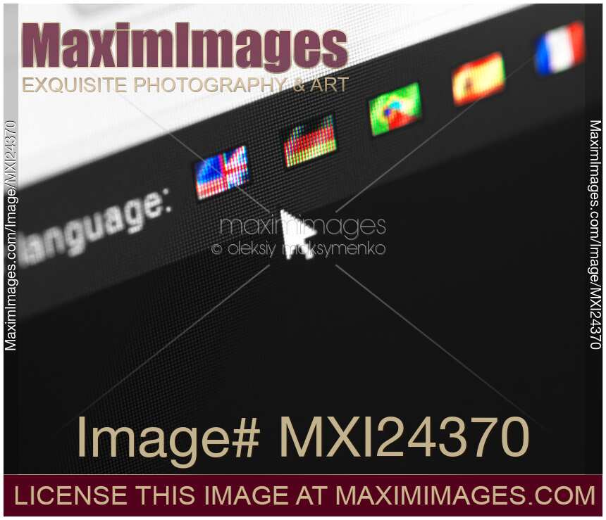 Website language selector
