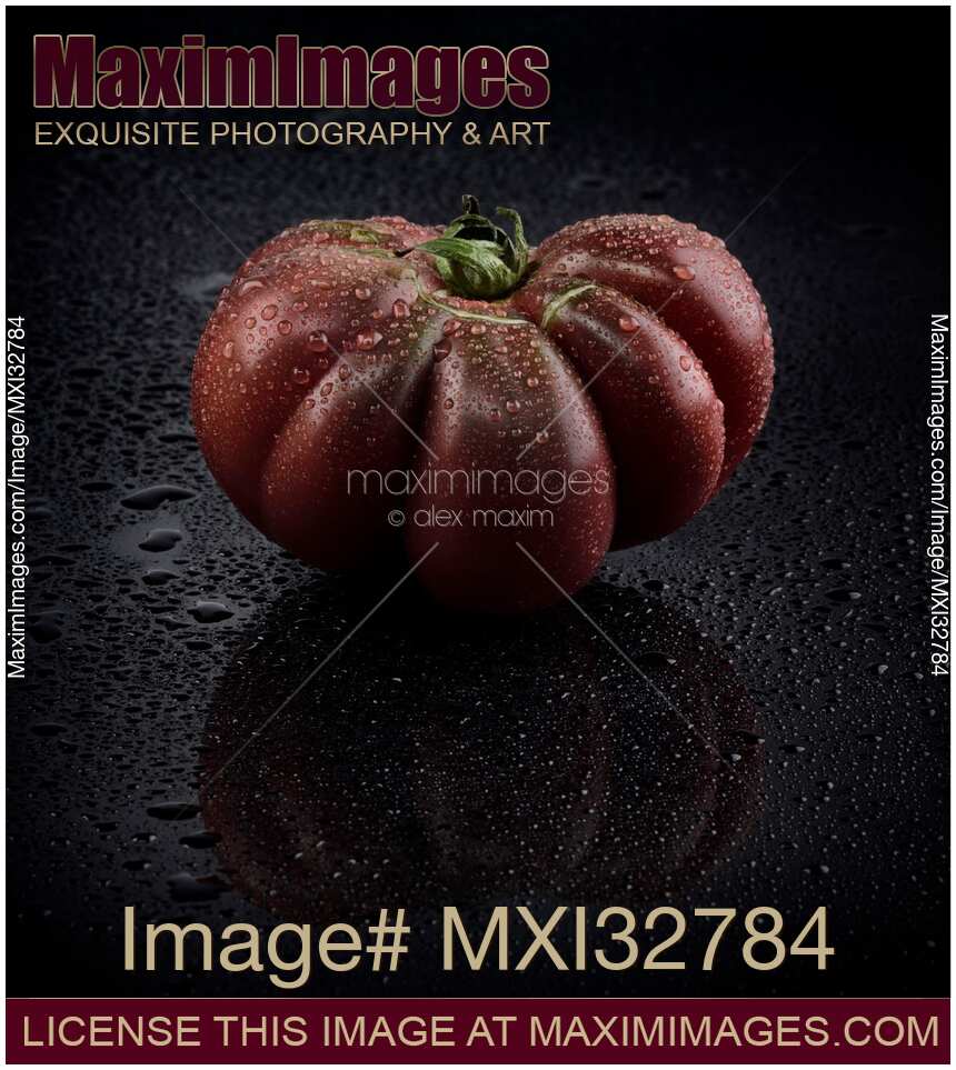 Wet dark red organic heirloom tomato Black Krim on black background with water droplets