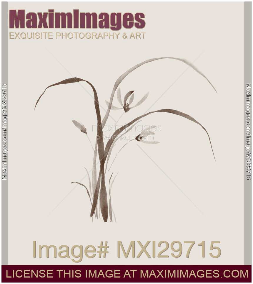 Wild orchid flowers Delicate refined Zen style floral design on light beige background