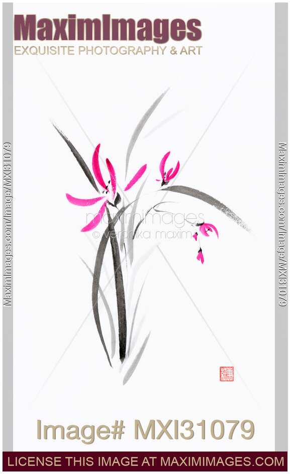 Wild orchid flowers sumi-e ink painting