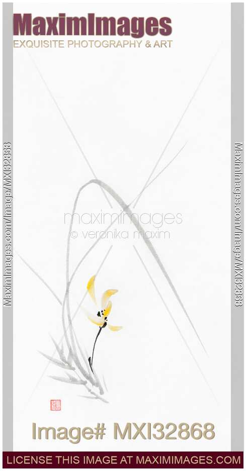 Wild orchid with yellow petals on white elegant Chinese brush sumi-e painting