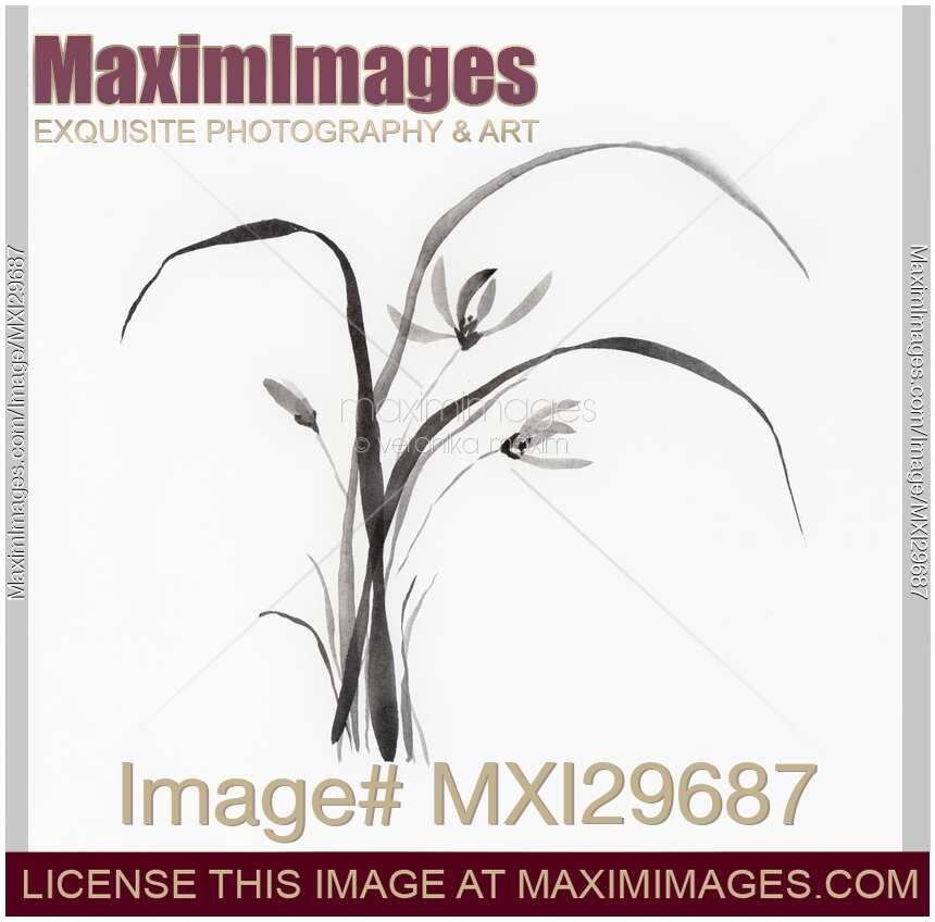 Wild orchids flowers Sumi-e Japanese Zen painting