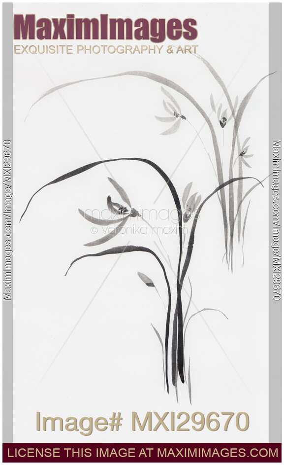 Wild orchids Sumi-e Japanese Zen painting artwork of flowers
