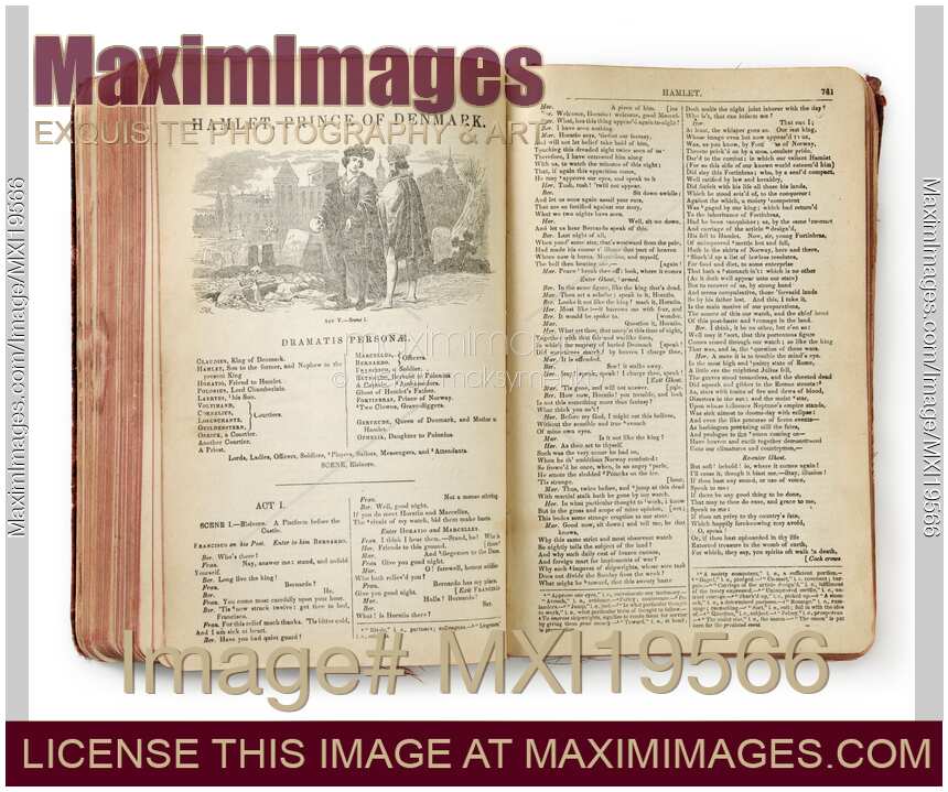 William Shakespeare Hamlet Book