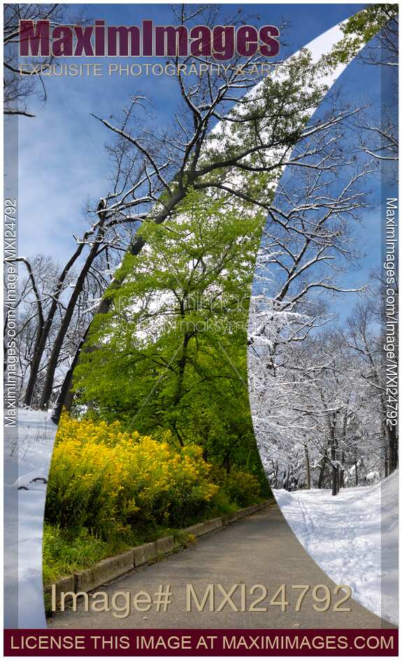 Winter and Summer
