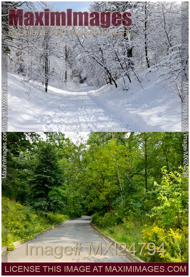 Winter and Summer