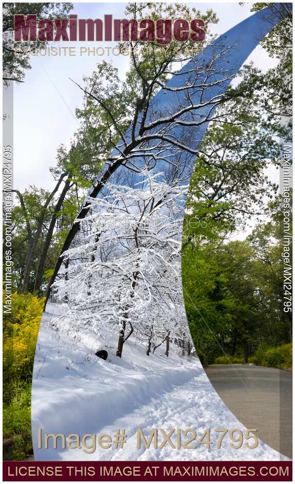 Winter and Summer