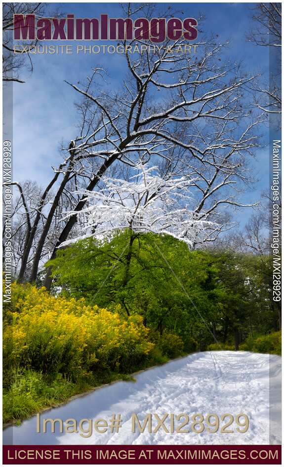 Winter and Summer