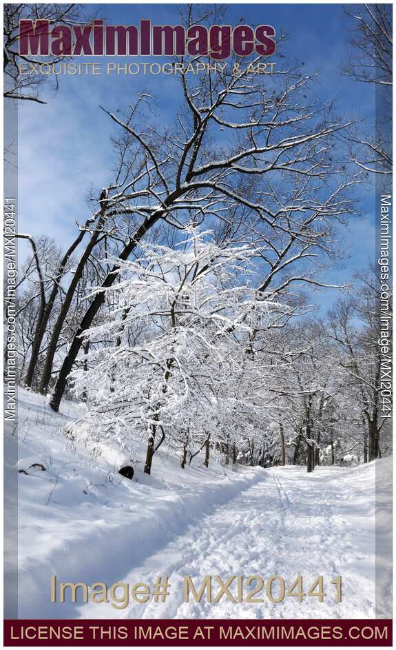 Winter