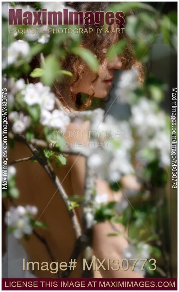 Woman bare body behind white flowers of apple tree blossoms
