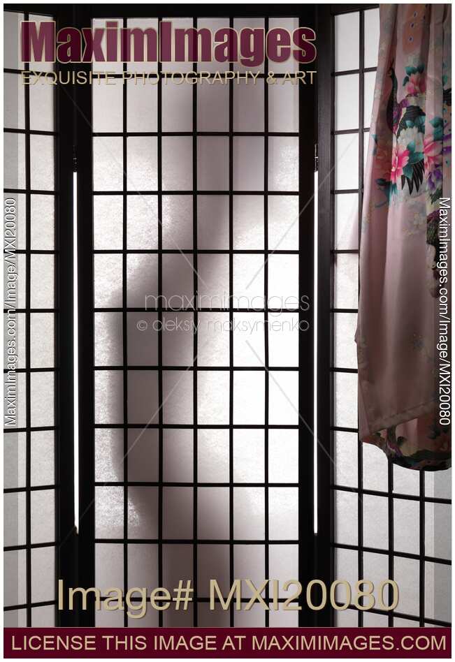 Woman Behind Shoji Screen