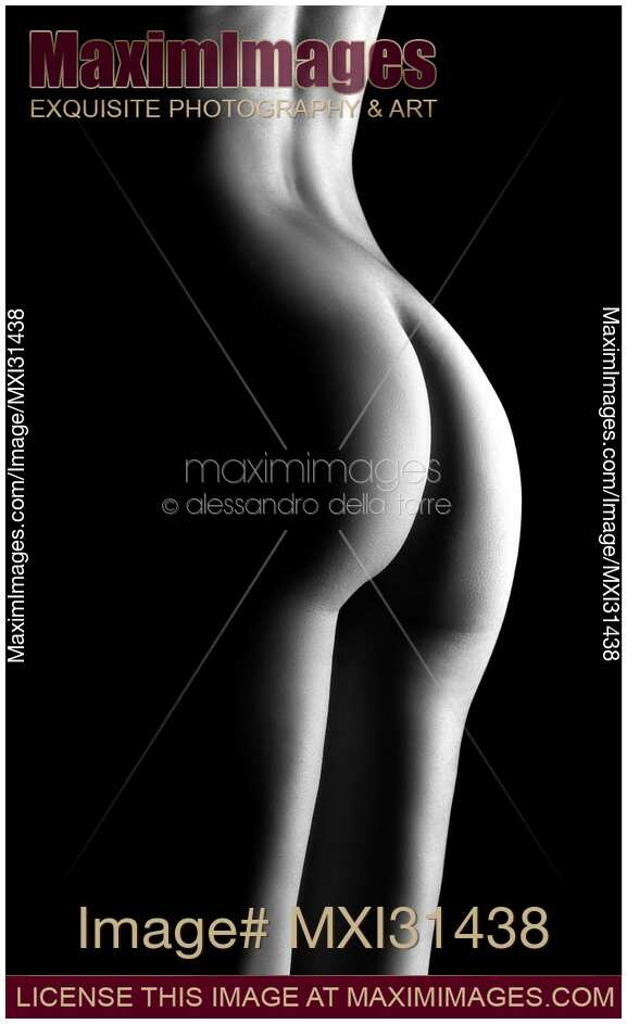 Woman buttocks art nude body parts closeup