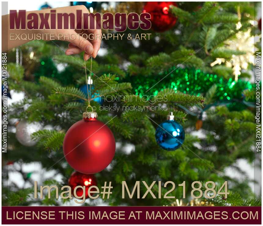 Woman Decorating a Christmas Tree