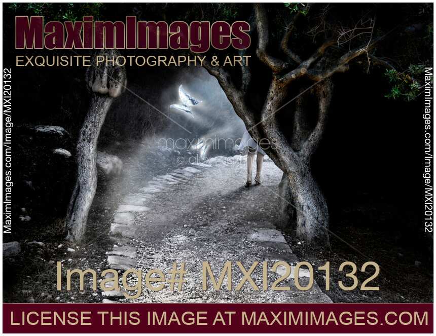 Woman entering wonderland forest
