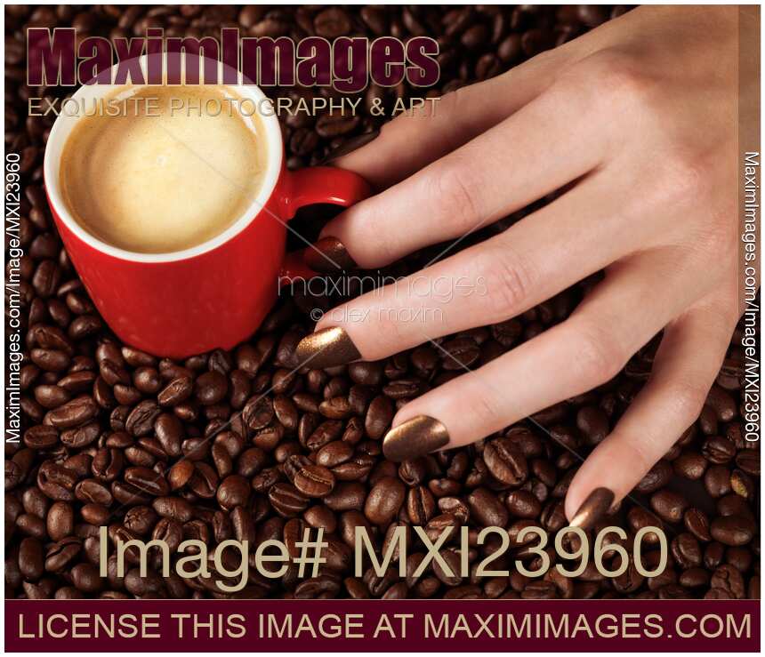 Woman Hand Holding a Cup of Latte