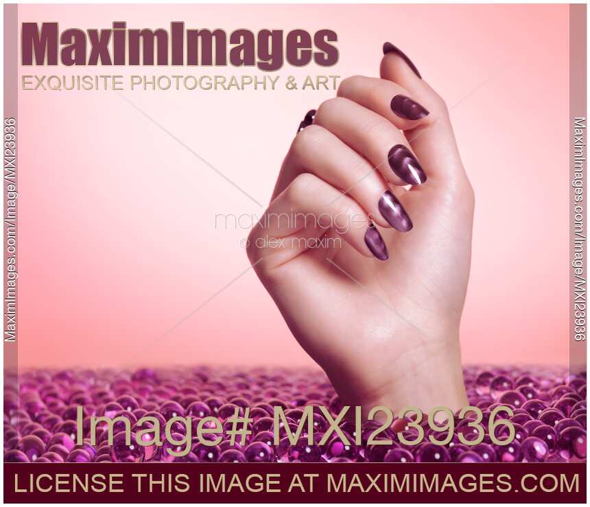 Woman Hand With Purple Nail Polish