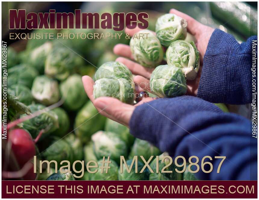Woman hands with organic brussels sprouts at vegetable stall of farmers market store