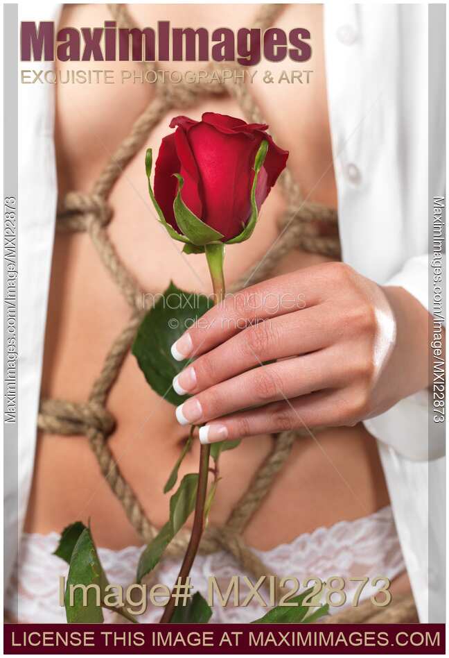 Woman holding a red rose in her hand in front of her half-naked body tied with bondage ropes