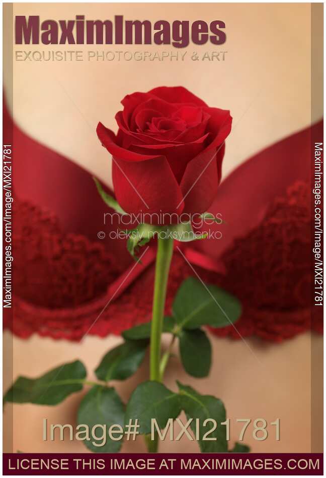 Woman Holding a Red Rose
