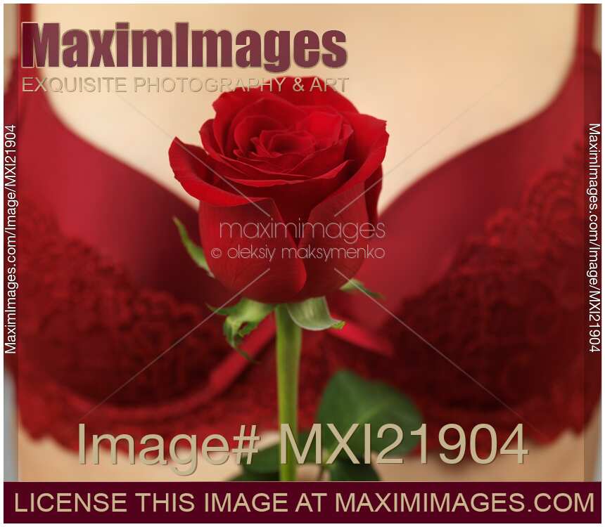 Woman Holding a Red Rose