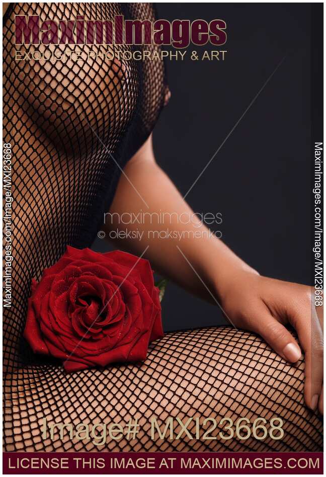 Woman in Fishnet Bodystocking with a Rose