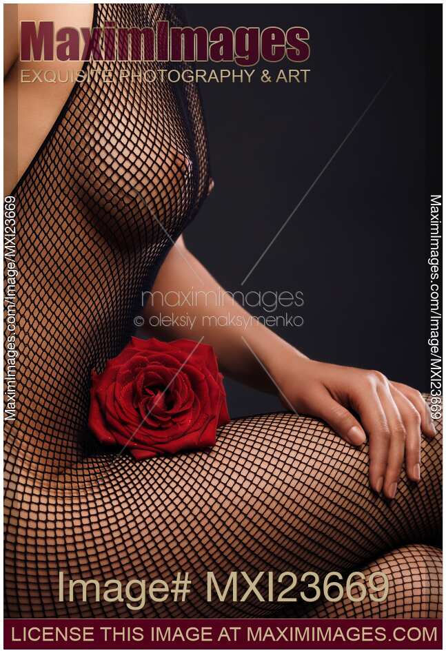 Woman in Fishnet Bodystocking with a Rose