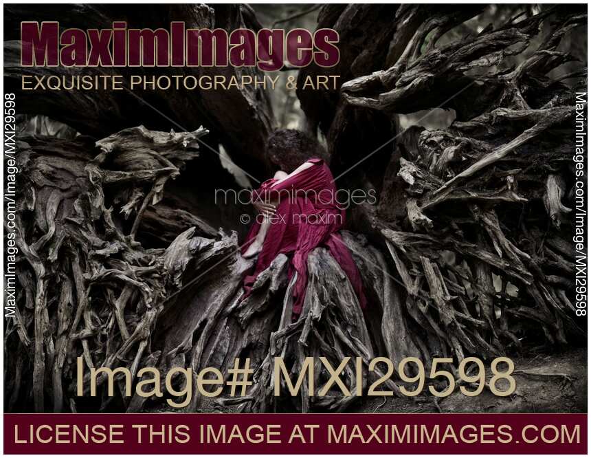 Woman in red dress curled up in roots of a dead tree