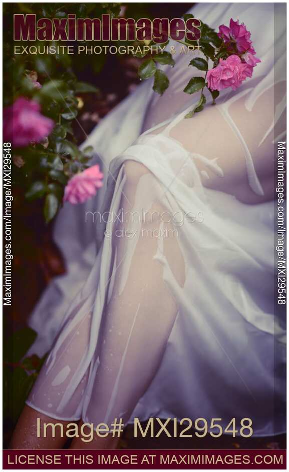 Woman legs under wet summer dress in rose garden