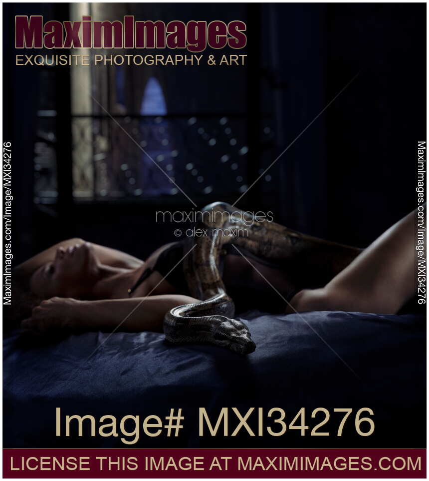 Woman lying on bed with a large boa constrictor snake slithering over her sexy body