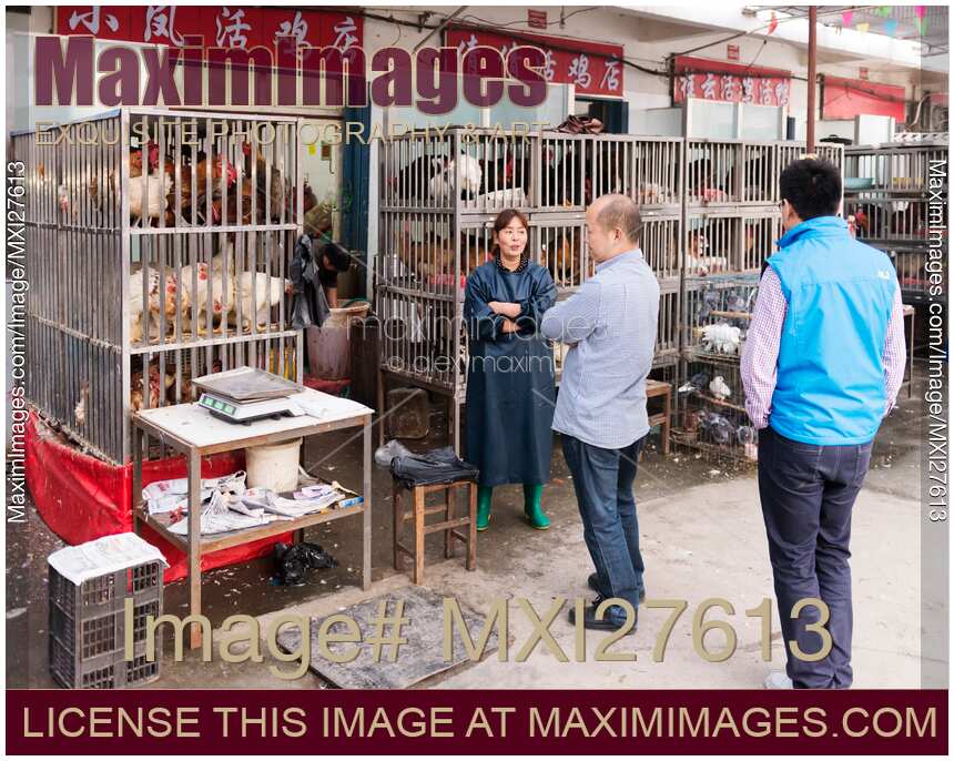 Woman selling live chickens at the market