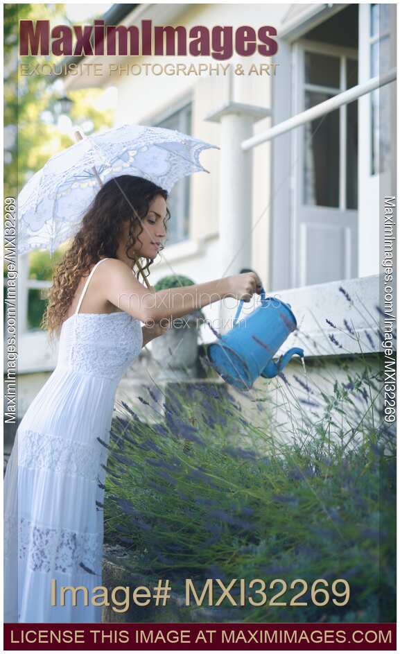 Woman with a French lace parasol watering lavender flowers in countryside