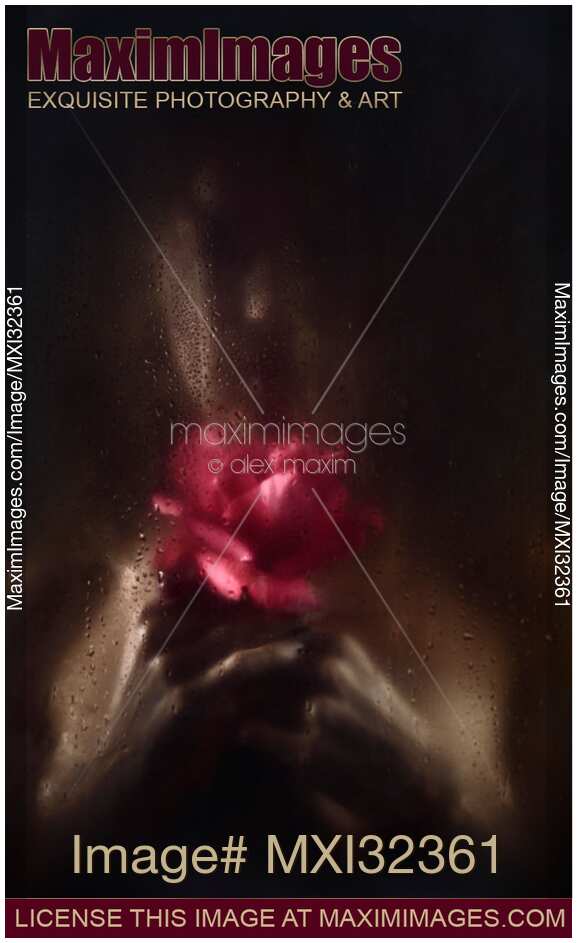 Woman with a red rose behind wet glass her face hidden in shadows