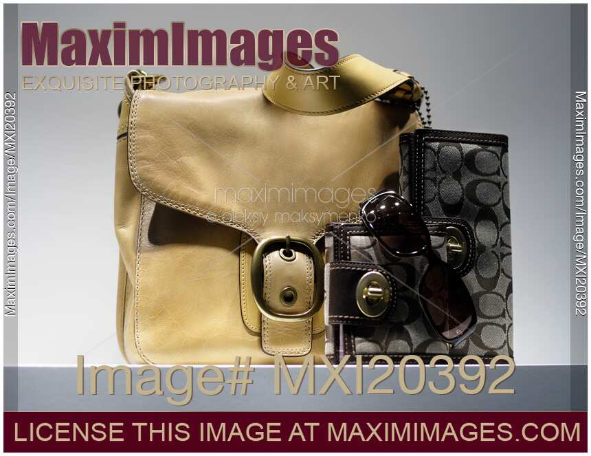 Women Leather Purse Handbag