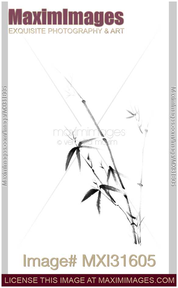Young bamboo bush with leaves oriental zen black and white illustration